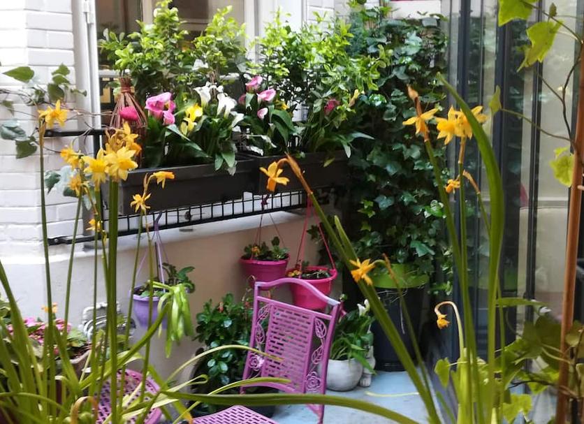 Extérieur Photo