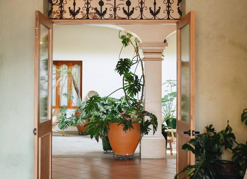 Extérieur Photo