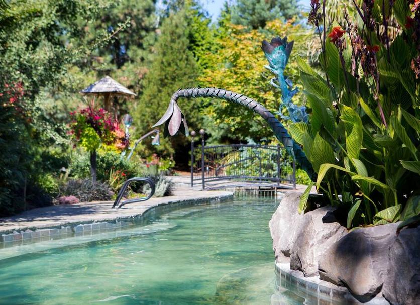Piscine Photo