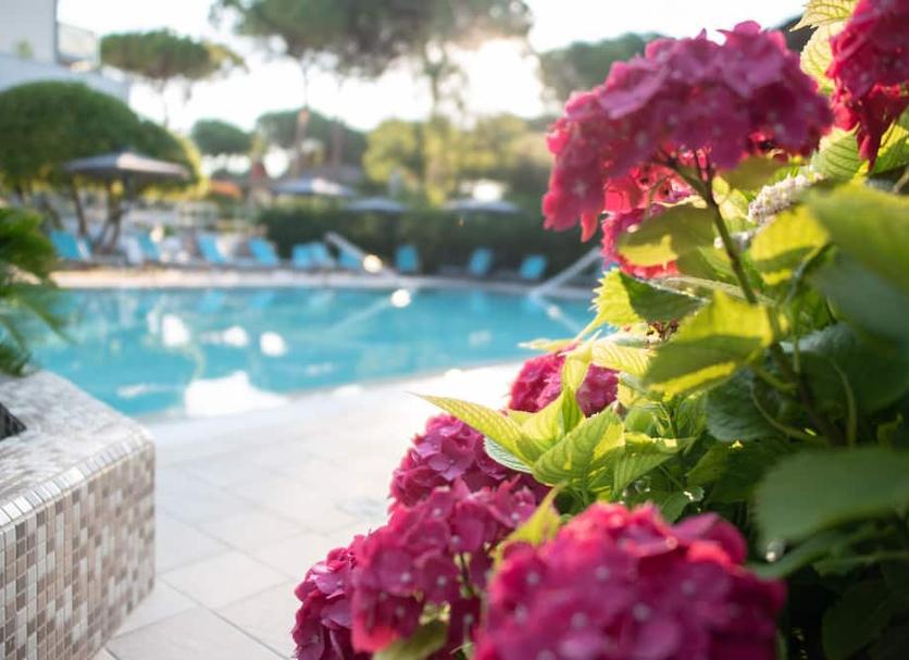 Piscine Photo
