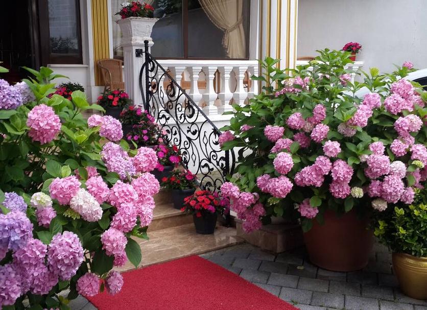 Extérieur Photo