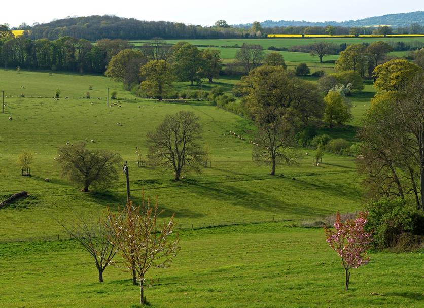 Extérieur Photo