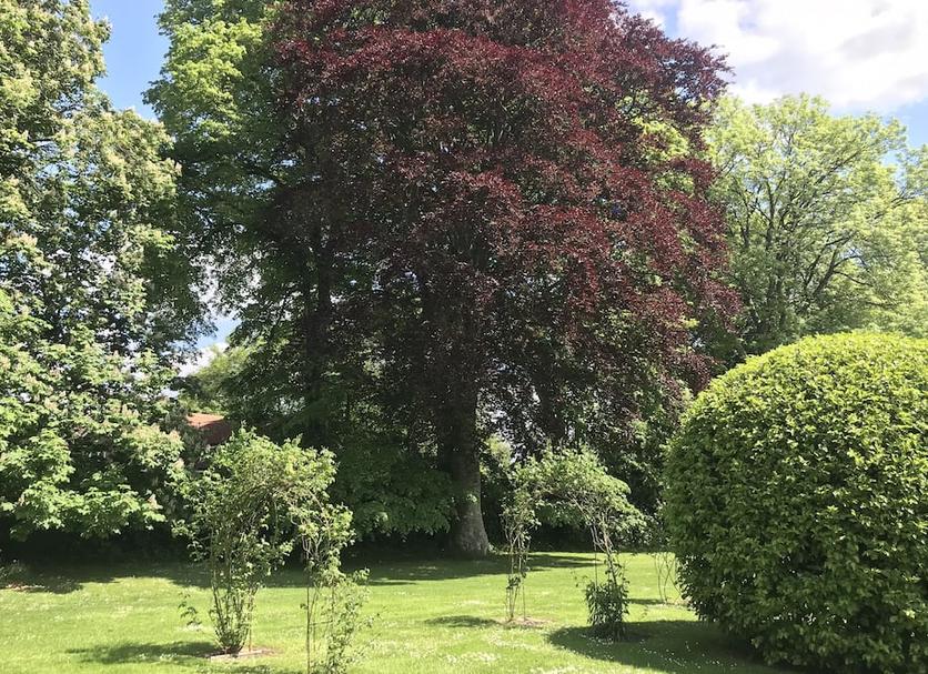 Extérieur Photo