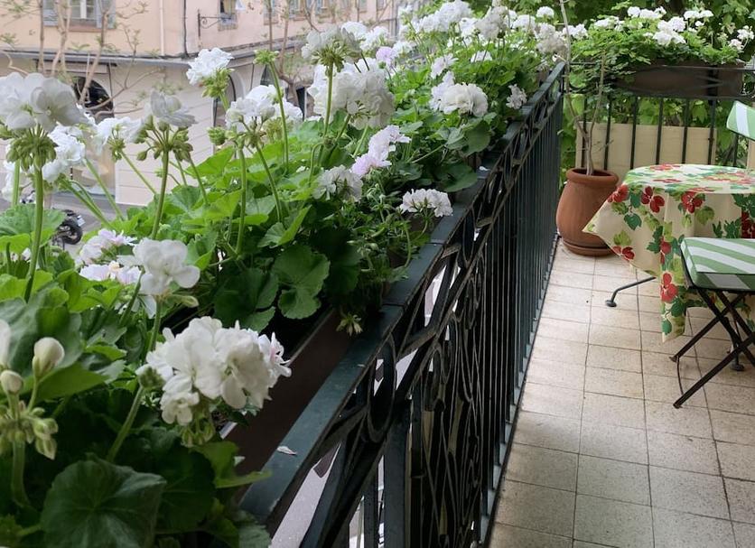 Balcon Photo