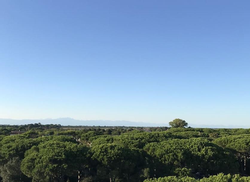 Extérieur Photo