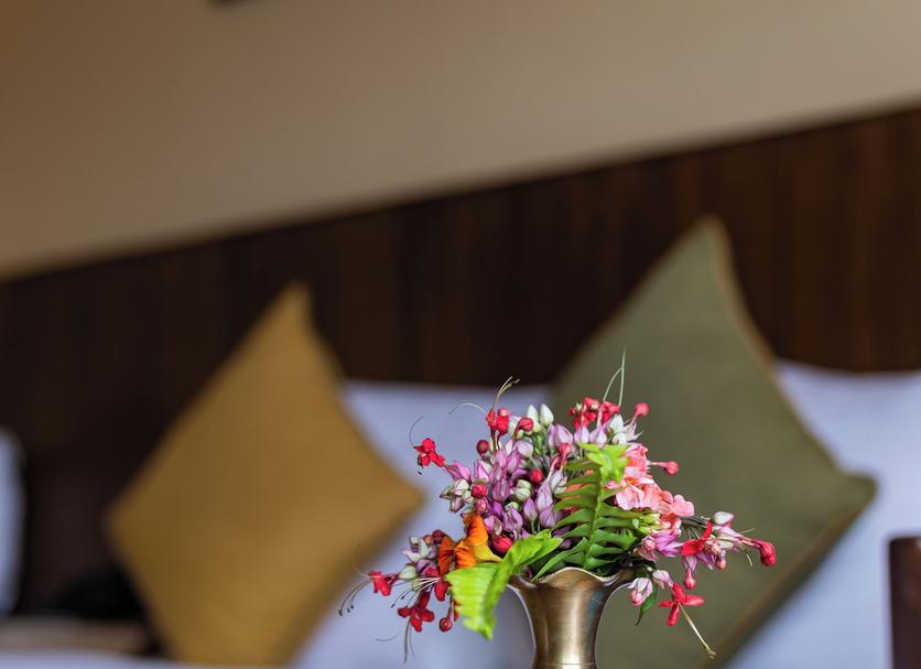 Équipements de la chambre Photo