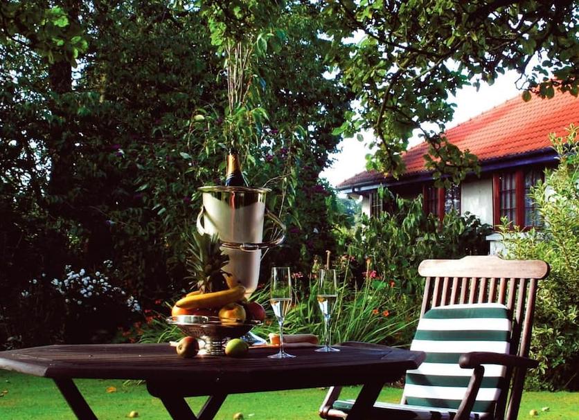Patio Photo