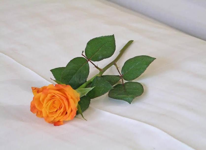 Équipements de la chambre Photo