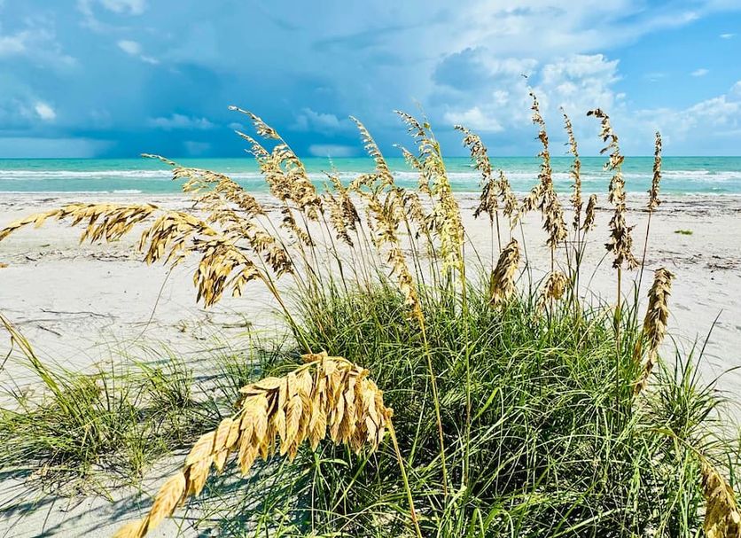 Plage Photo