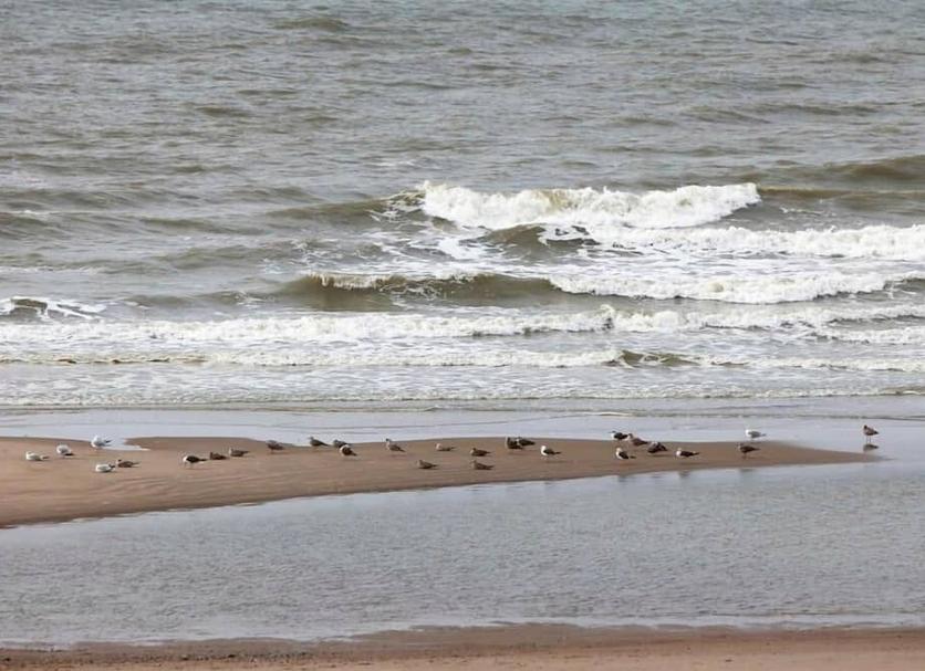 Plage Photo