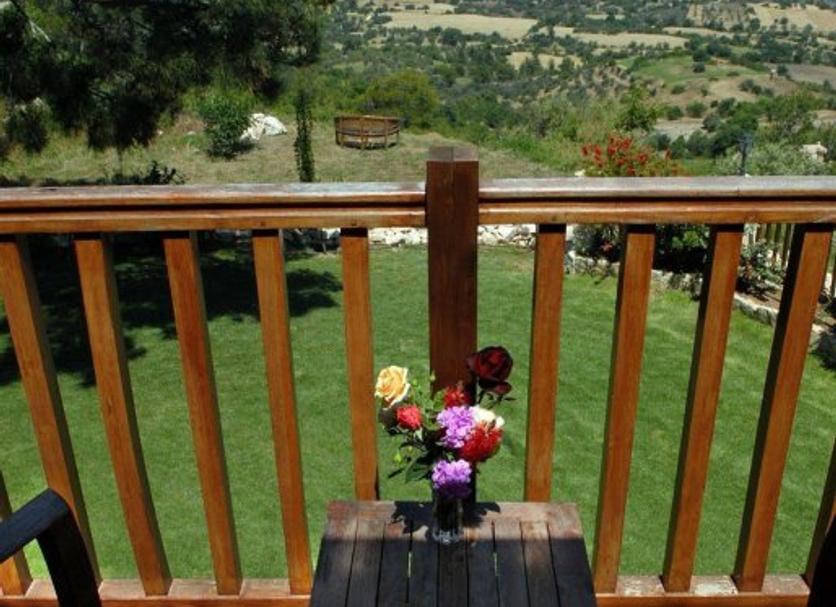 Balcon Photo