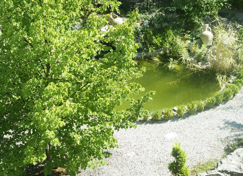 Extérieur Photo