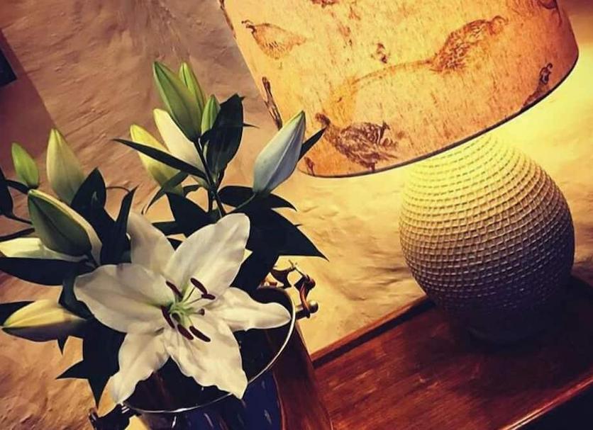 Équipements de la chambre Photo
