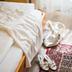 Équipements de la chambre