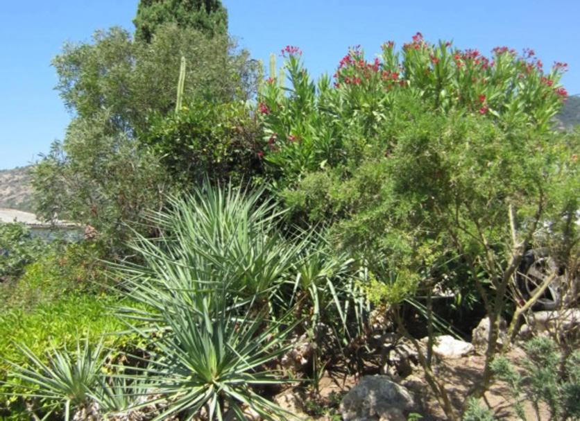 Extérieur Photo
