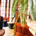 Décor