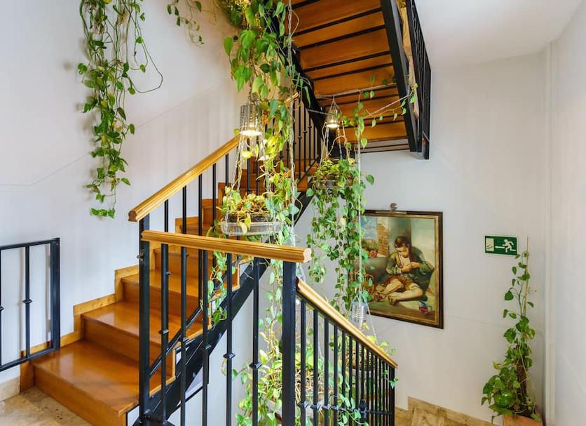 Escalier Photo