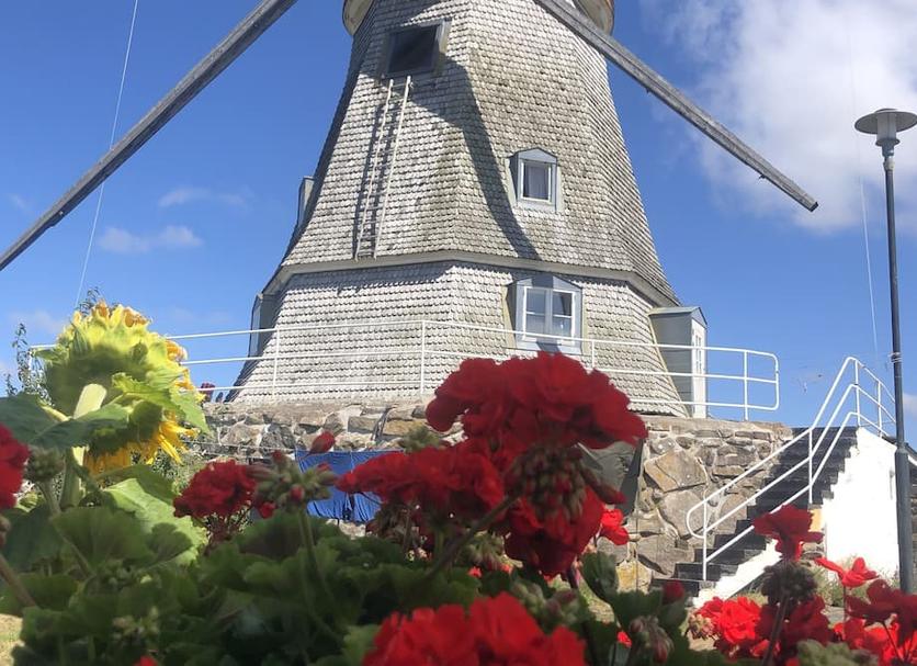 Bâtiment Photo