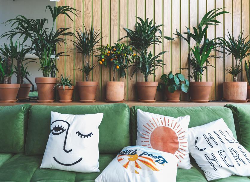Équipements de la chambre Photo