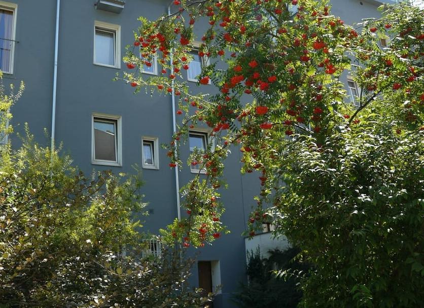 Extérieur Photo