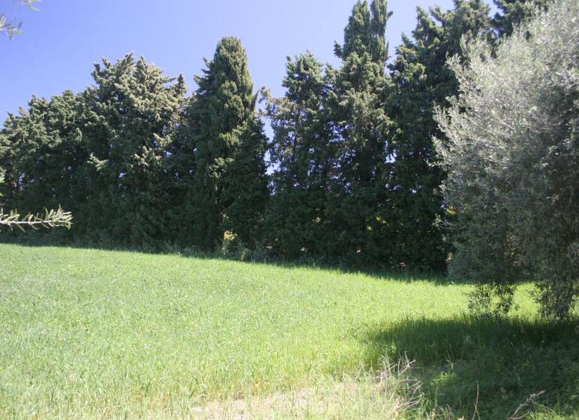 Extérieur Photo