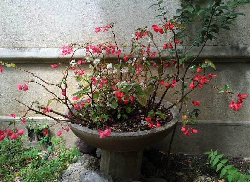 Extérieur Photo