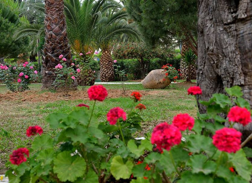Extérieur Photo