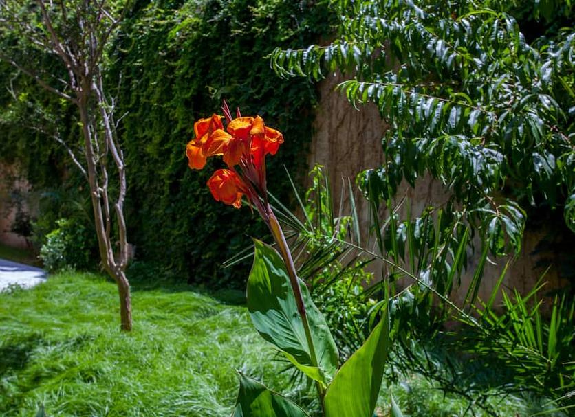 Extérieur Photo