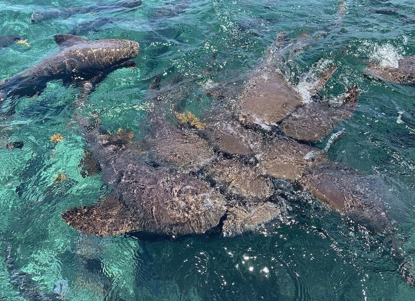 Prestation hôtelière Photo