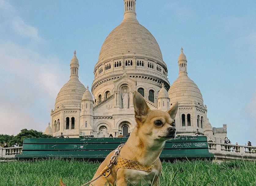 Autre Photo