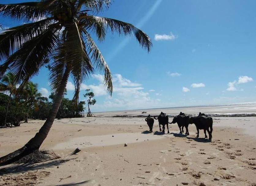 Plage Photo