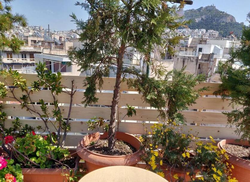 Extérieur Photo