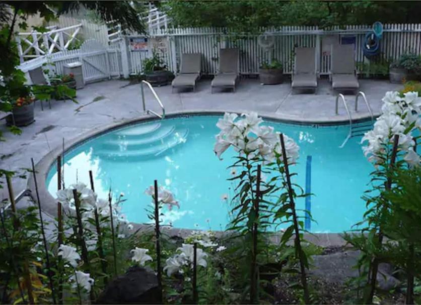 Piscine Photo
