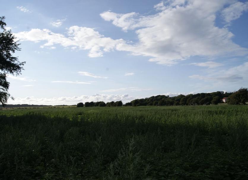 Extérieur Photo