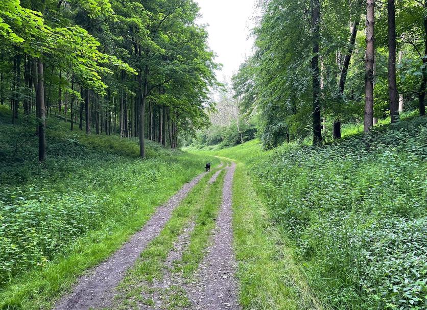 Extérieur Photo
