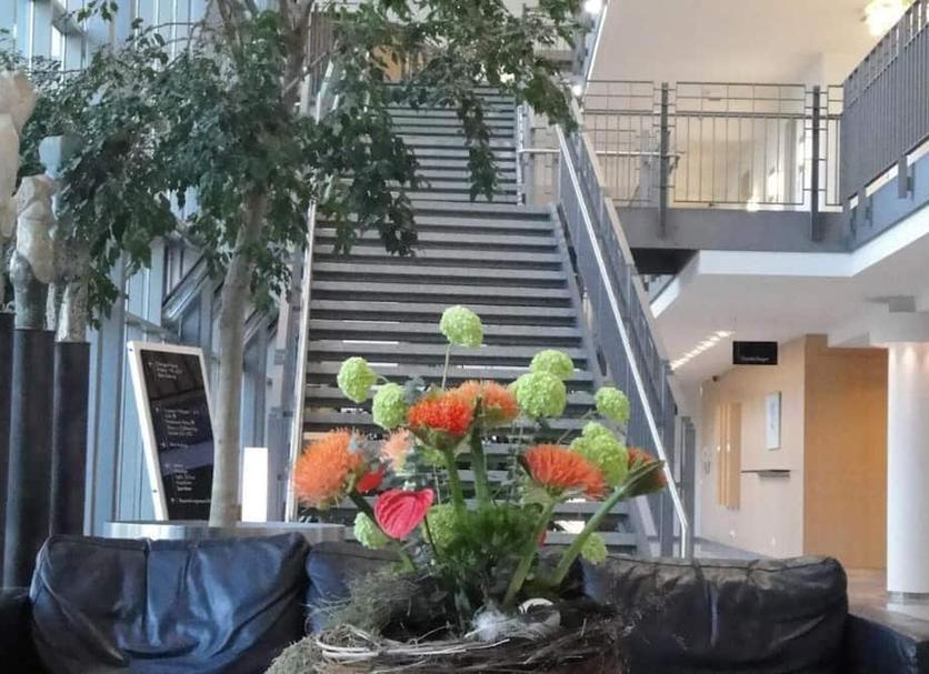 Extérieur Photo