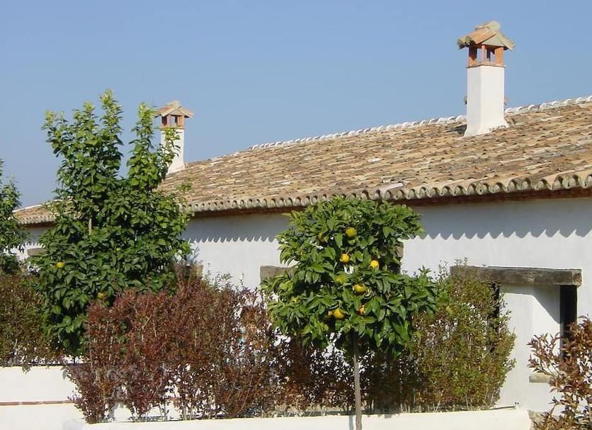 Extérieur Photo