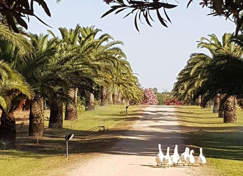 Extérieur Photo