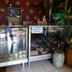 Boutique