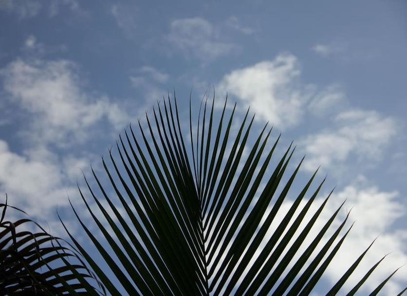 Autre Photo