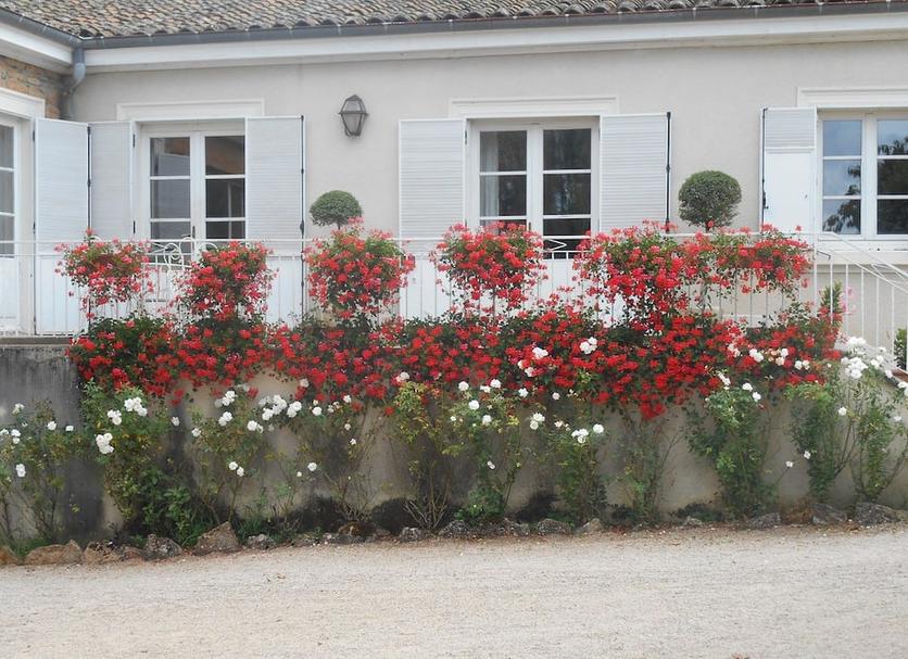 Autre Photo