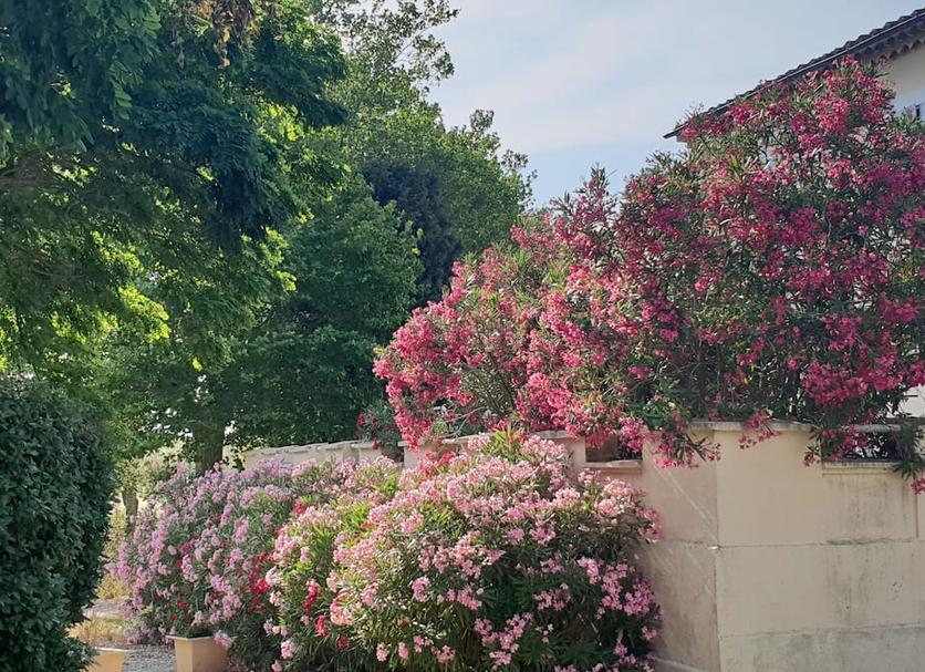 Extérieur Photo