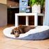 Animaux admis