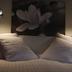 Équipements de la chambre