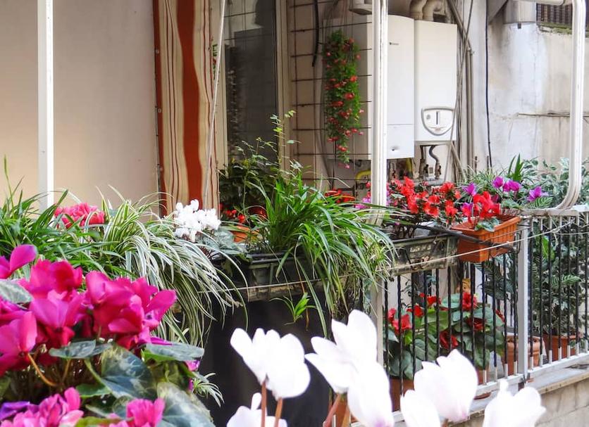 Extérieur Photo