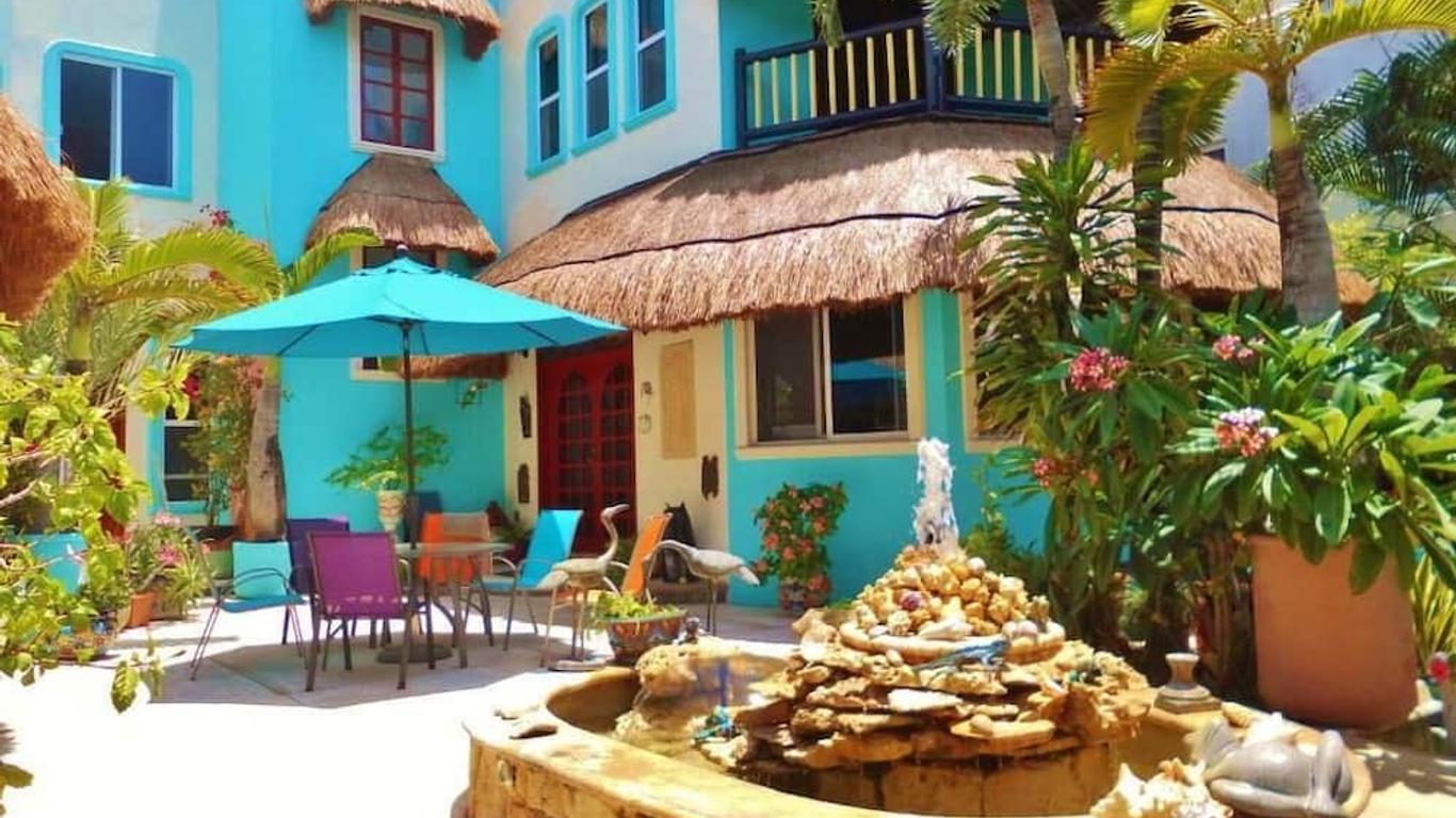Casa Gatos