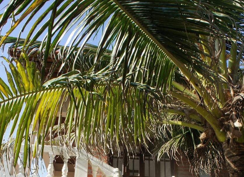 Extérieur Photo