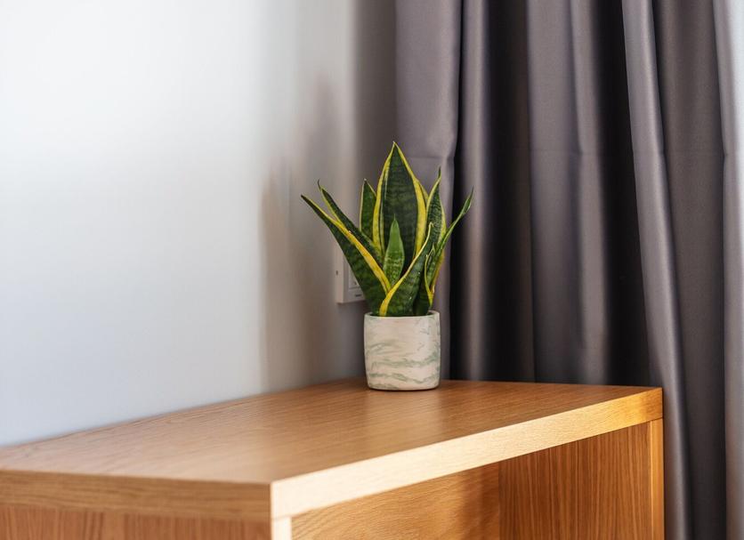 Équipements de la chambre Photo
