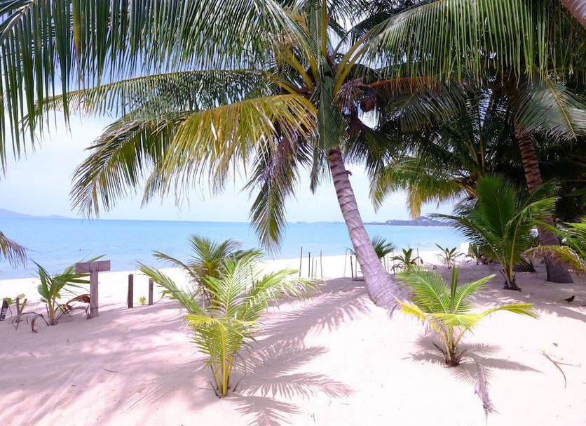 Plage Photo