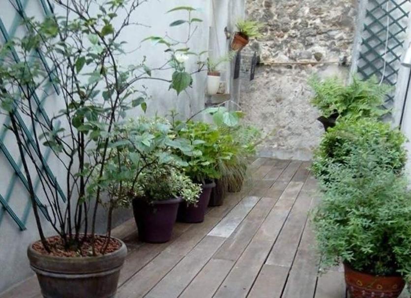 Extérieur Photo